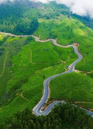 Magical Kerala Escape - 5 Nights