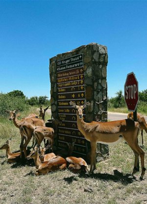 Spectacular South Africa - 9 Nights