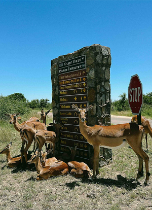 Spectacular South Africa - 9 Nights