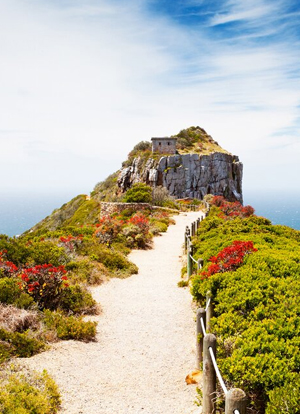 Western Cape Tour - 7 Nights