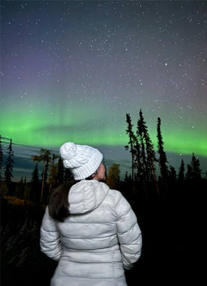 Brewery Hopping From Fairbanks To Homer - 4 Nights