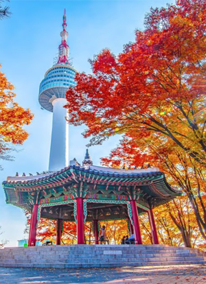Seoul Delight - 5 Nights