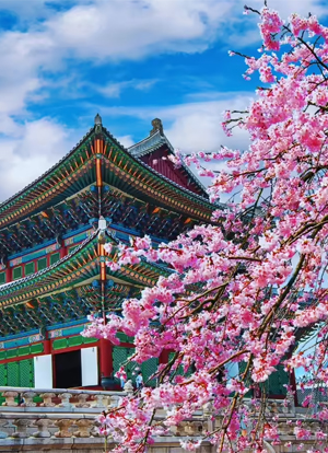 Seoul Experience - 4 Nights